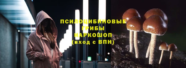 спиды Алексеевка