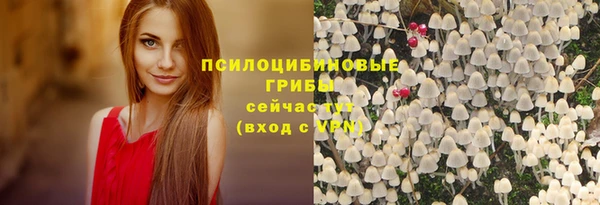 спиды Алексеевка