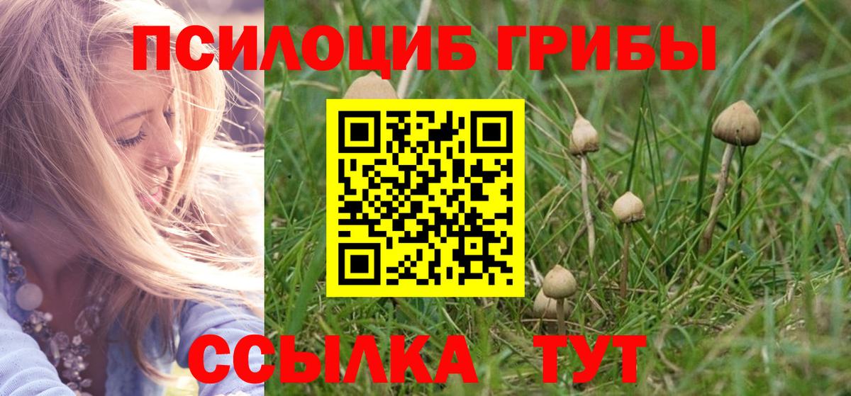 Псилоцибиновые грибы Psilocybe Лабинск
